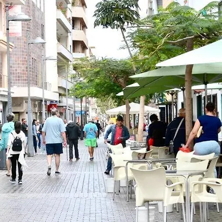 Calle Real Apartment
